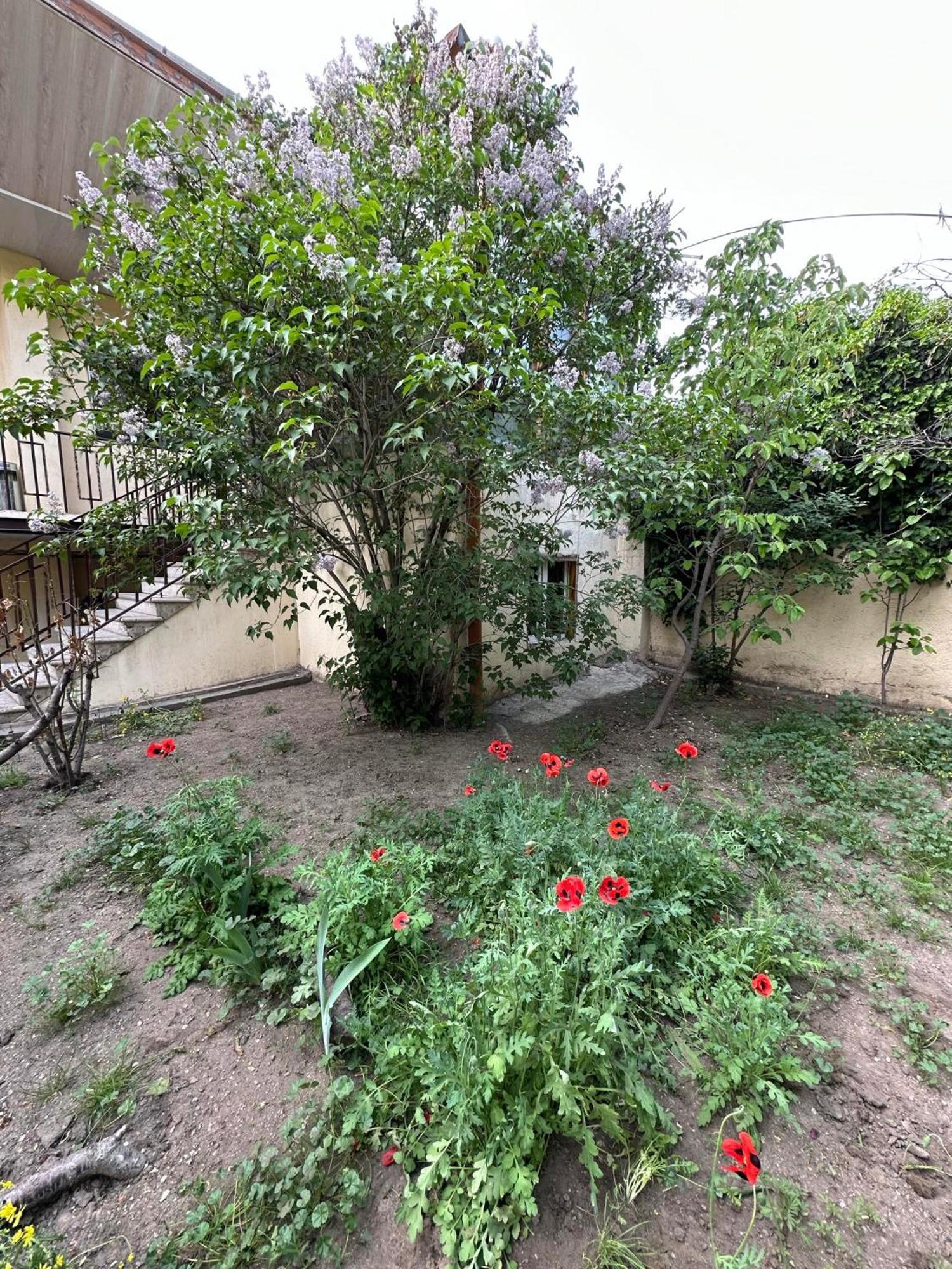Popock City Center Erivan Dış mekan fotoğraf