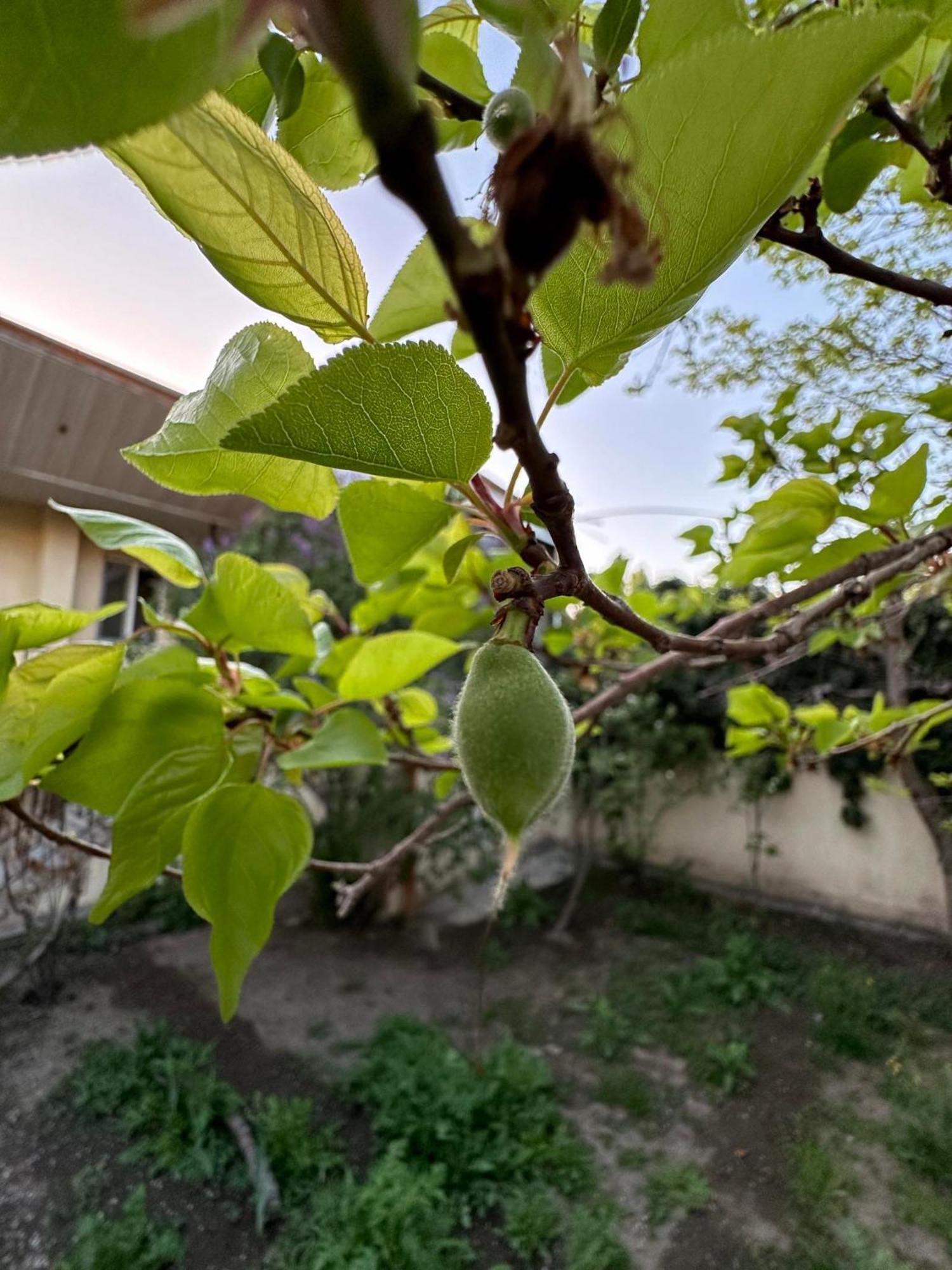 Popock City Center Erivan Dış mekan fotoğraf