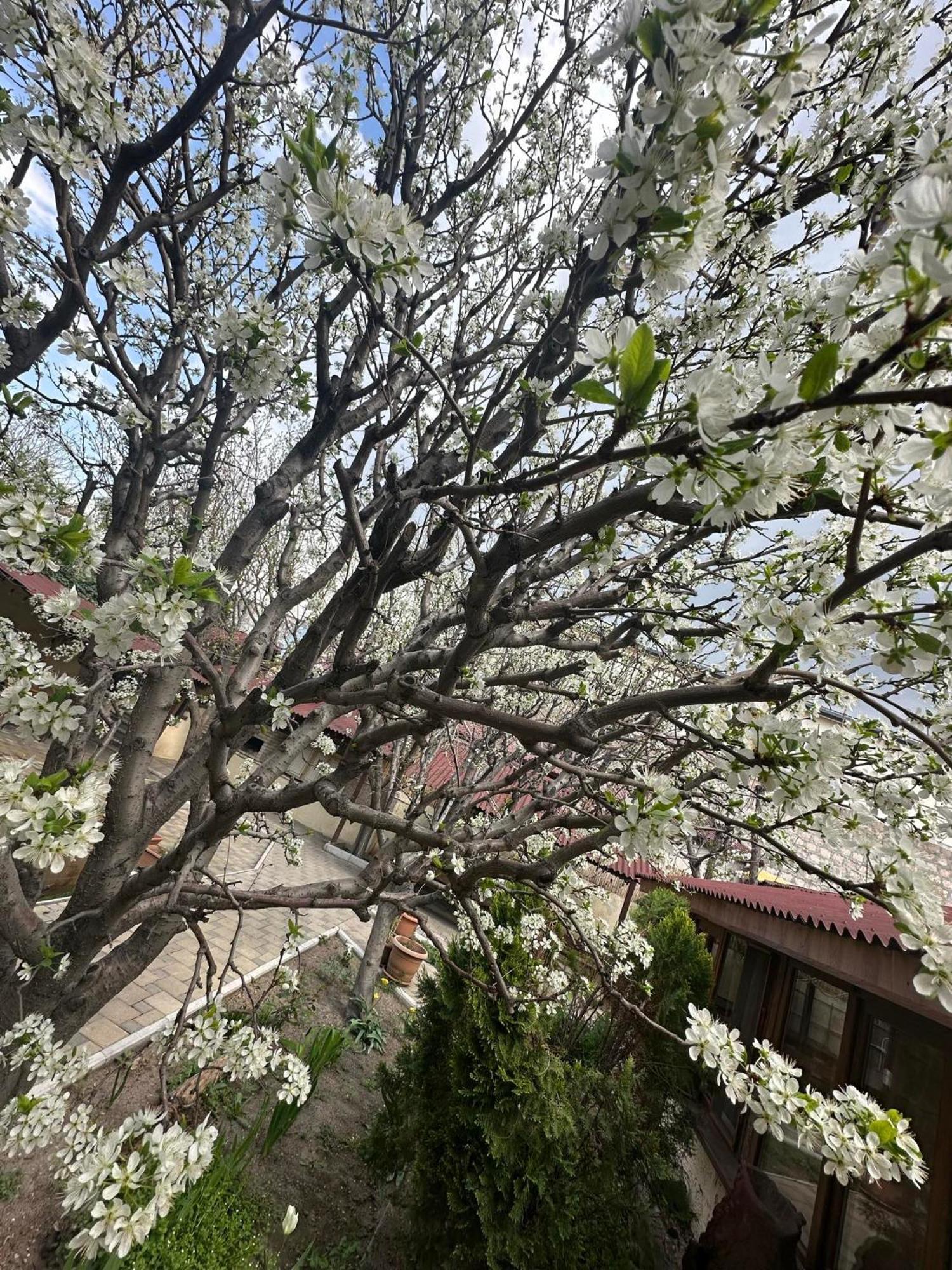 Popock City Center Erivan Dış mekan fotoğraf