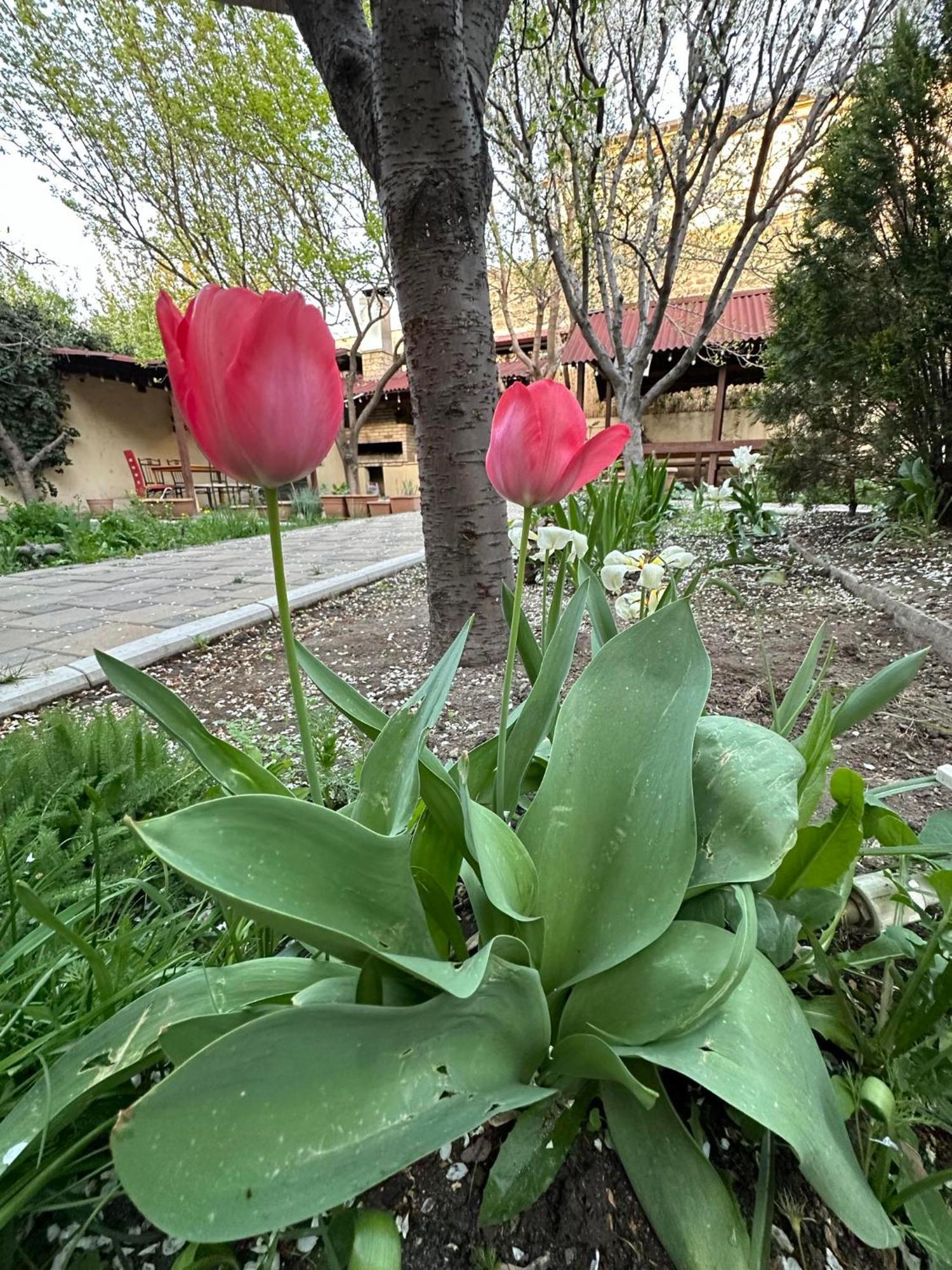 Popock City Center Erivan Dış mekan fotoğraf